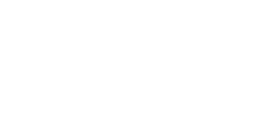 The Butterfly